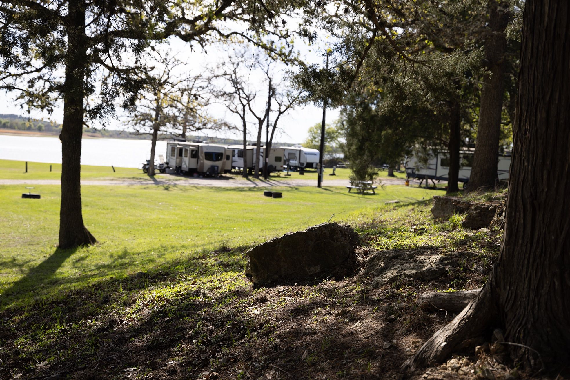 Travel trailers parked on green grass beneath oak and cedar trees beside Lake Somerville at Overlook Park & Marina.